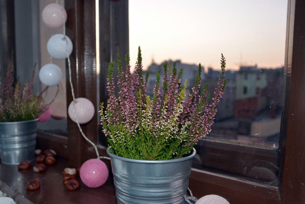 Apartament Bartolomeo Stary Toruń Esterno foto